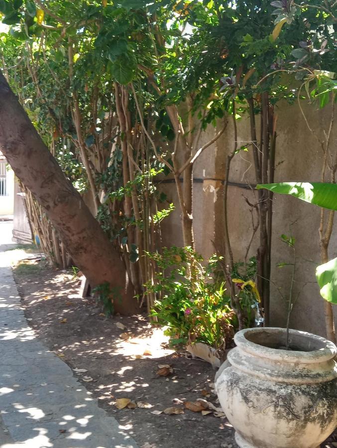 Pousada Marazul Maceió المظهر الخارجي الصورة